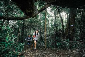 BIB: 
                            <button type="button" onclick="openModal(25390184)" class="btn btn-primary btn-sm float-right btn-popup" data-toggle="modal" data-target=".modal-high-quality">
                        <i class="fas fa-shopping-cart"></i> Add to Cart
                    </button>
                                            <button type="button" onclick="isThisMe(25390184, true)" class="btn btn-success btn-sm float-right btn-popup btn-isme hidden" data-toggle="tooltip" data-placement="bottom" title="นี่คือรูปของคุณใช่ไหม คลิกที่นี่เพื่อเอาเข้าอัลบั้ม">
                        <i class="fas fa-plus"></i> Add to album
                    </button>
                    <button type="button" onclick="isThisMe(25390184, false)" class="btn btn-warning btn-sm float-right btn-popup btn-isnotme hidden">
                        <i class="fas fa-ban"></i> Remove from album
                    </button>